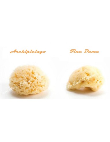 ESPONJA NATURAL MEDITERRANEO "Archipielago" S10 MEDIANA