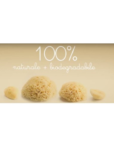 ESPONJA NATURAL MEDITERRANEO "Archipielago" S12 Grande
