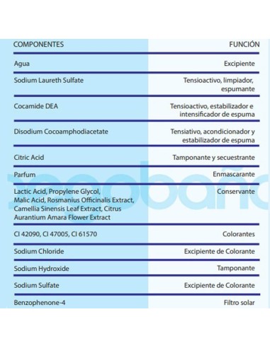 esponja-foam-begobano