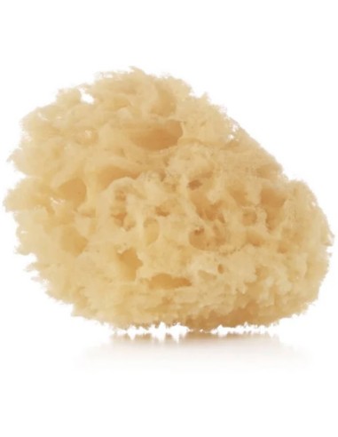 pack-esponjas-naturales-bebe-jane