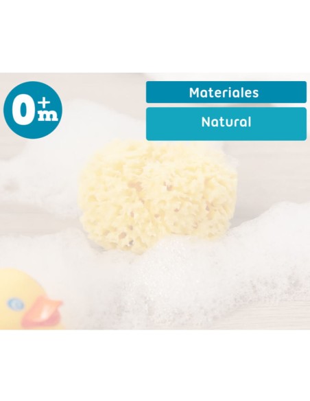 Esponja Natural - Kiokids
