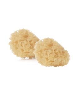 pack-esponjas-naturales-bebe-jane