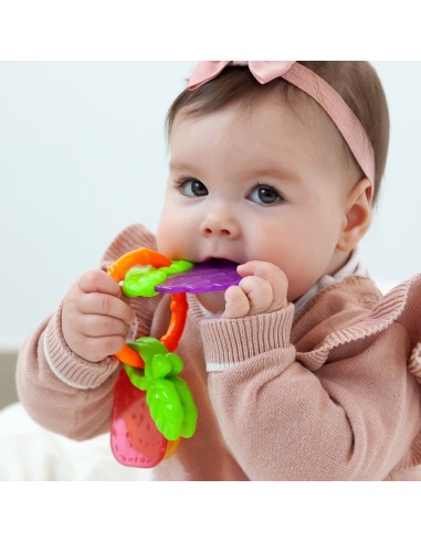 Mordedor frutas - Kiokids