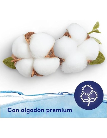 Toallitas Dodot Aqua Pure seguras desde recién nacido