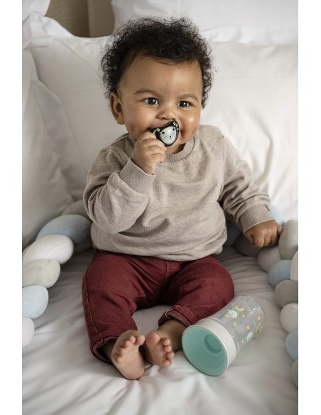 Vaso Smart 250ml 9M+ Tigex