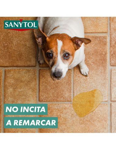 limpiador-suelos-sanytol-1-2l