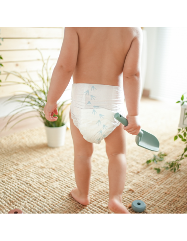 [PAÑALES PINGO] talla 1 en Nappy.es tienda online de bebes