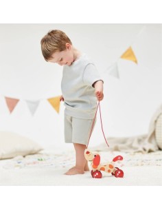 Oferta perrito Pepe de arrastre Hape (+12M) - Nappy.es 2