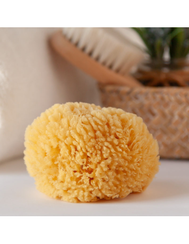 Esponja Natural para el bebé (0M+) | Kiokids - Nappy.es