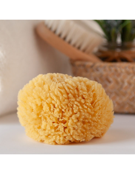 Esponja Natural para el bebé (0M+) | Kiokids - Nappy.es