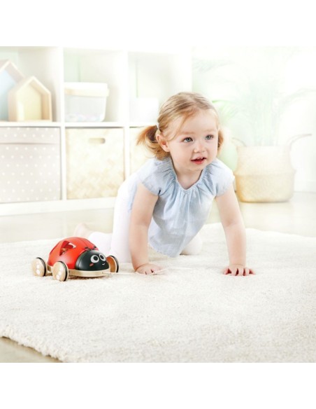 Oferta Mariquita clasificadora de formas Hape (+12 M)