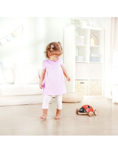 Oferta Mariquita clasificadora de formas Hape (+12 M)