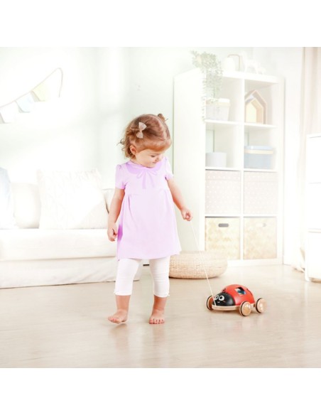 Oferta Mariquita clasificadora de formas Hape (+12 M)