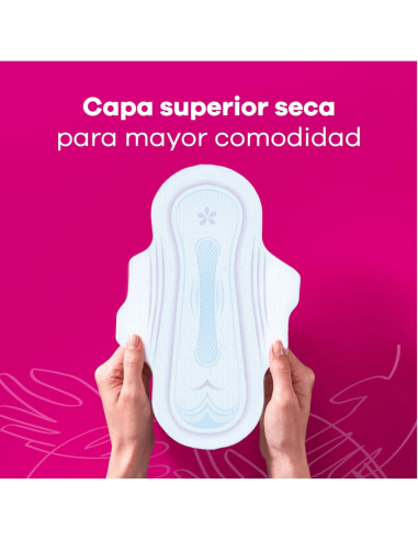 ausonia-compresas-noche