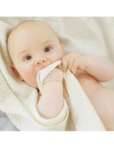 crema-facial-malva-blanca-weleda-5.jpg – Envase y packaging completo.