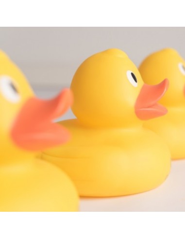 patito-de-goma-grande-olmitos