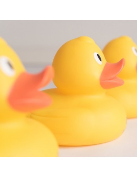 patito-de-goma-grande-olmitos