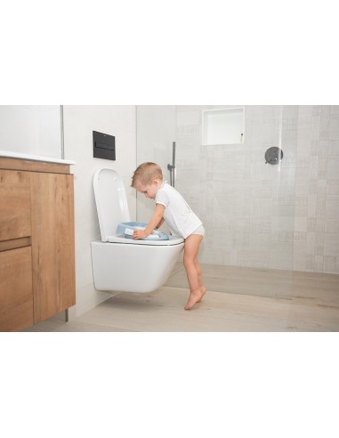 reductor-wc-con-asas-olmitos