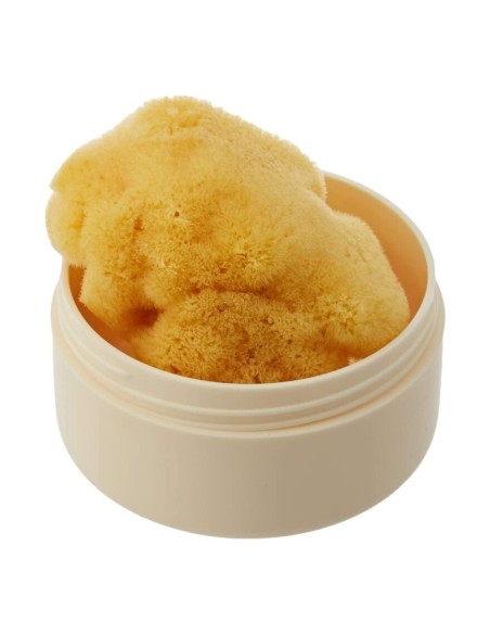 Esponja Natural Fina Dama S7 Bellini + Caja