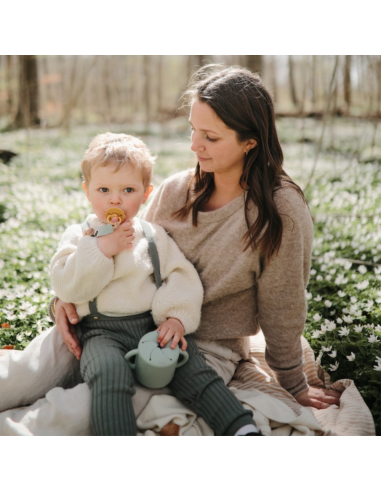 pack-chupetes-silicona-daisy-frigg