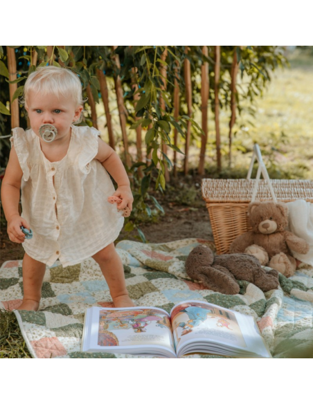 pack-chupetes-silicona-fairytale-frigg