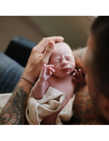 pack-chupetes-silicona-butterfly-frigg