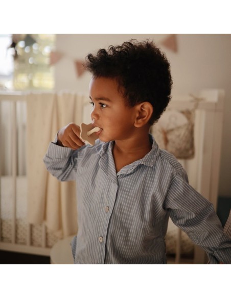 Cepillo de dientes didáctico Star Mushie