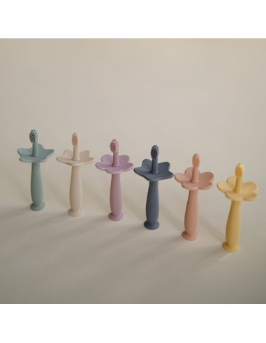 Cepillo de dientes didáctico Star Mushie