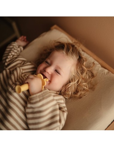 Cepillo de dientes didáctico Star Mushie