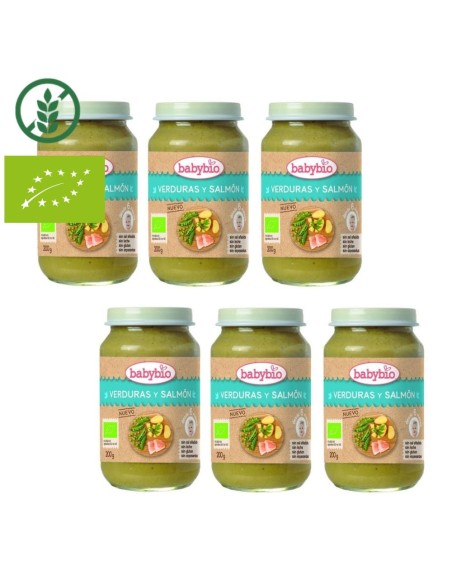pack-6-potitos-verduras-salmon-babybio