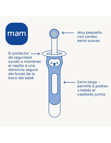 Cepillo de dientes de entrenamiento para bebés Mam Baby