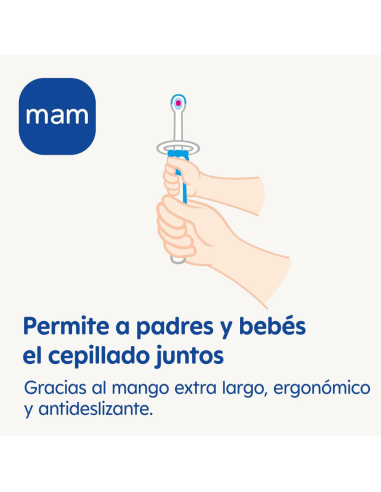 Cepillo de dientes de entrenamiento para bebés Mam Baby