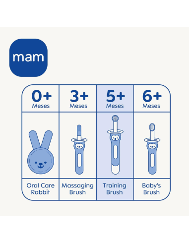 Cepillo de dientes de entrenamiento para bebés Mam Baby
