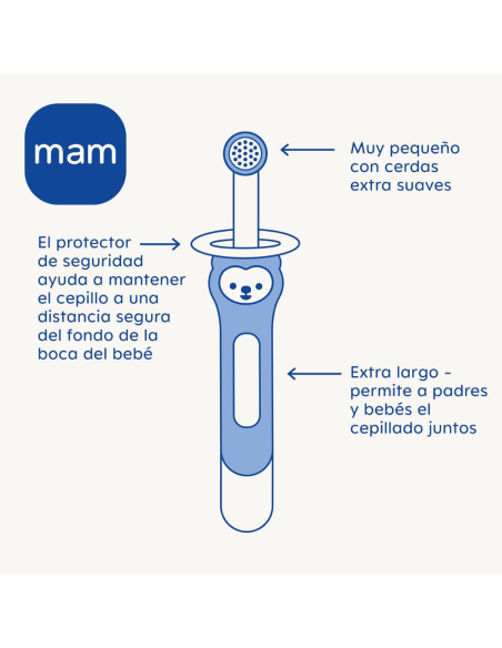 Cepillo masajeador de encías bebé 3M+ Mam Baby