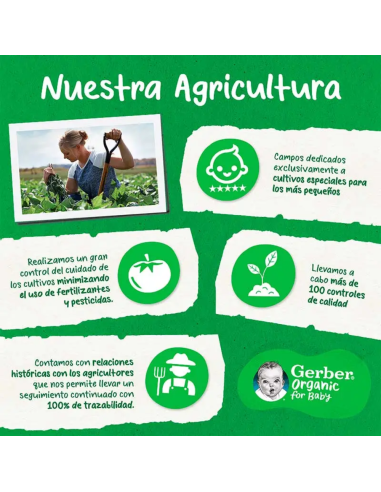 snacks-primeros-mordisquitos-platano-gerber