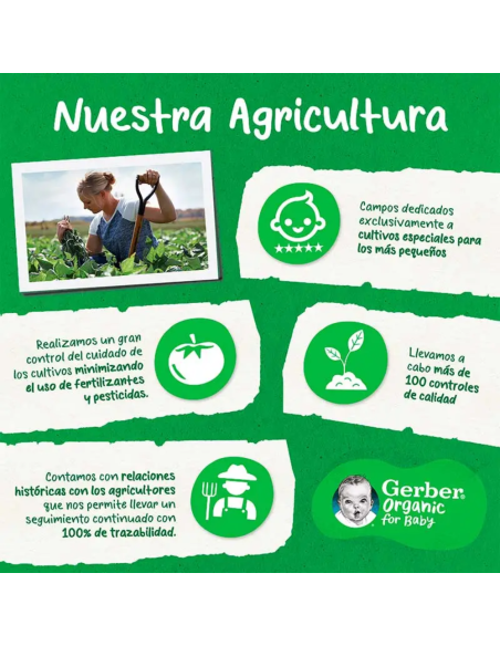 snacks-primeros-mordisquitos-platano-gerber