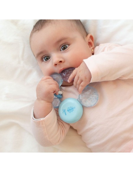 mordedor-petits-moments-kiokids