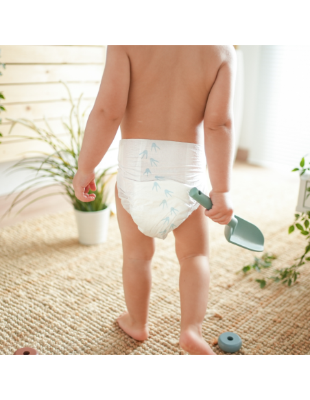 Pack Pingo con pañales talla 5 36uds + Pants Talla 5 con 28uds