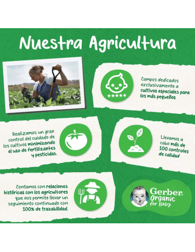 snack-organico-mango-platano-gerber