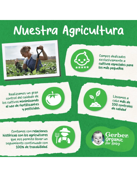 snack-organico-mango-platano-gerber