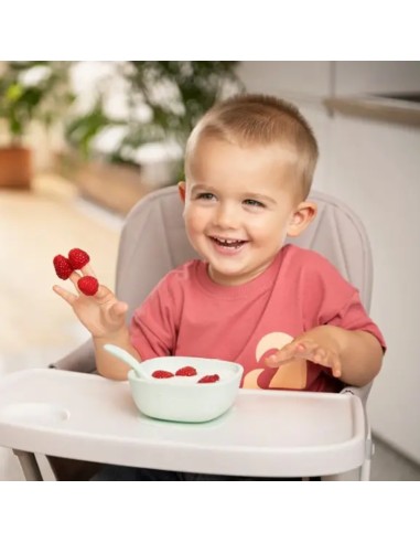 Bol de silicona con ventosa +6m Tigex