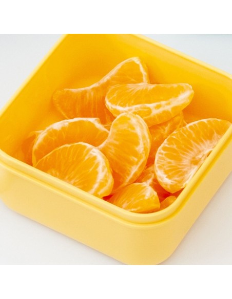 Cajitas para almuerzo sanckbox-3 Jurassic +6M. Miniland