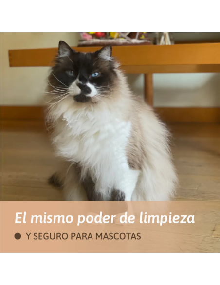 friegasuelos-eco-tiras-jazmin