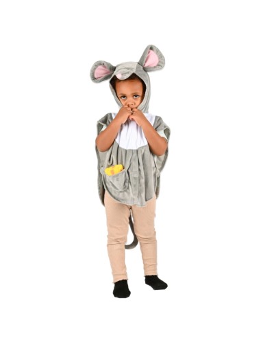 disfraz-den-goda-fen-raton-1.jpg – Vista frontal del disfraz completo.