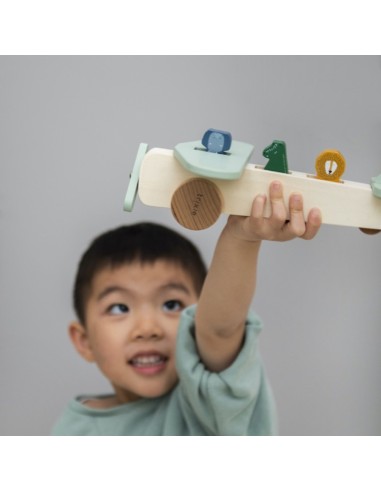 avion-animales-madera-trixie-6.jpg – Piezas desmontadas sobre mesa.