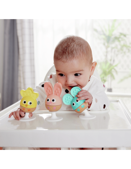 set-sonajero-mordedor-hape