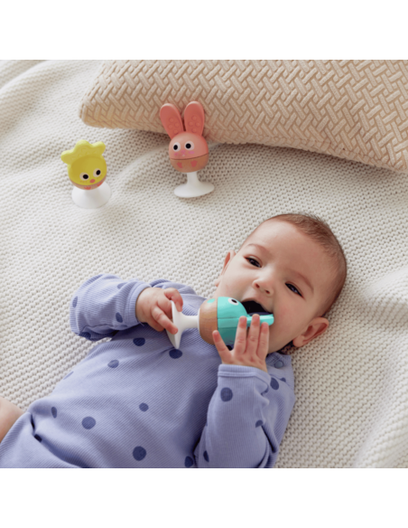 set-sonajero-mordedor-hape