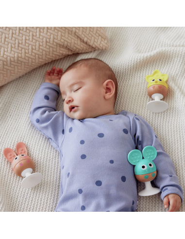 set-sonajero-mordedor-hape