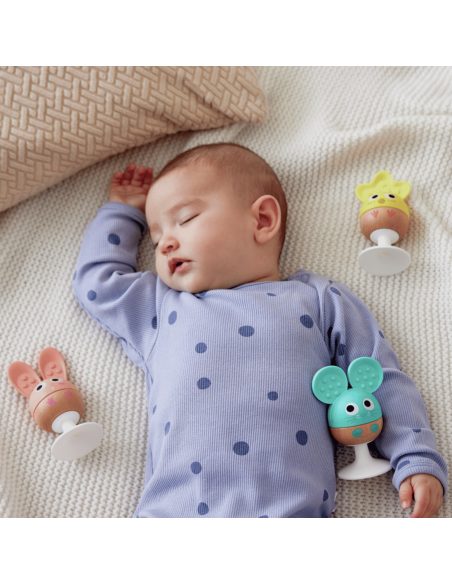 set-sonajero-mordedor-hape