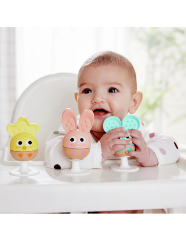 set-sonajero-mordedor-hape